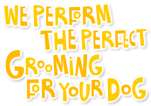 We perform the perfect grooming for your dog.